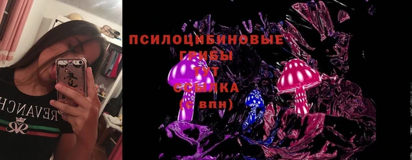 PSILOCYBIN Майский