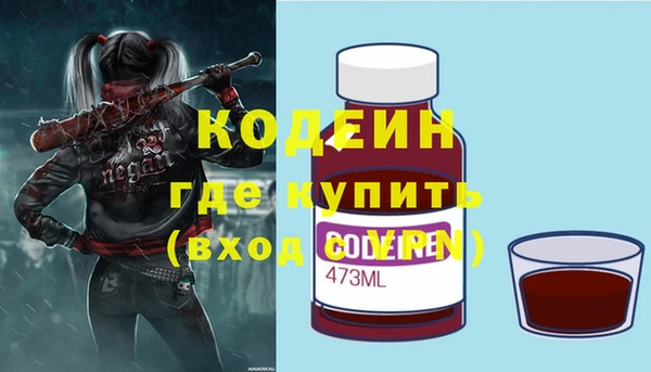 шишки Магас