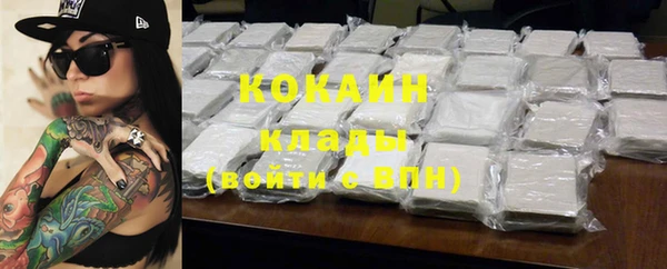 шишки Магас