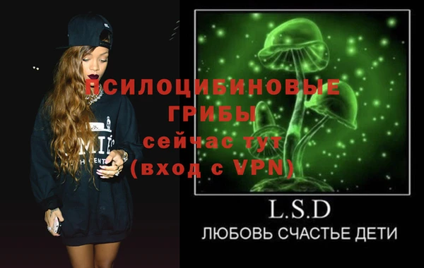 PSILOCYBIN Устюжна