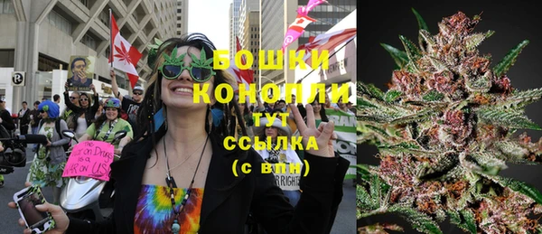 PSILOCYBIN Майский