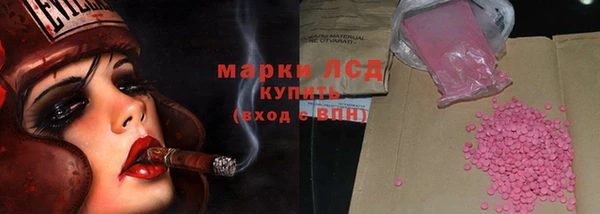 шишки Магас