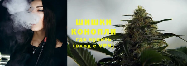 шишки Магас