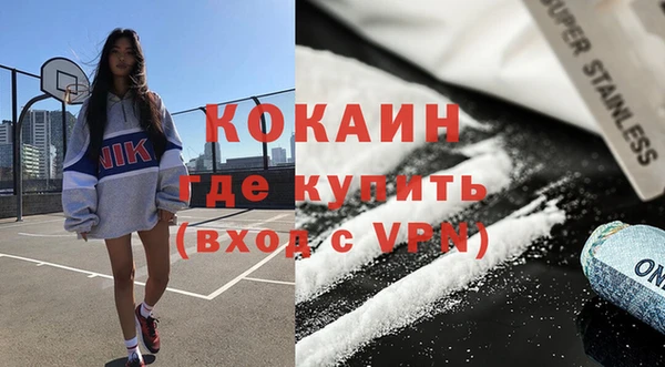 шишки Магас