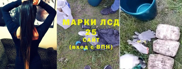 стаф Бердск