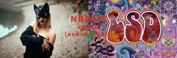 PSILOCYBIN Майский