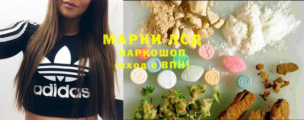 эйфоретик Магадан