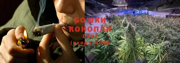 шишки Магас
