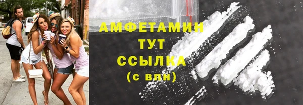 PSILOCYBIN Майский