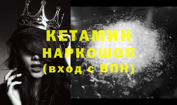шишки Магас