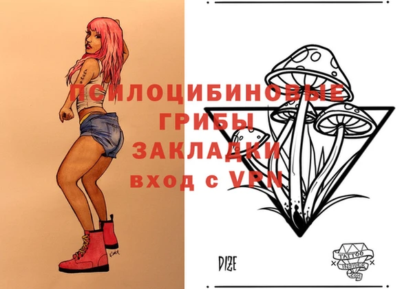шишки Магас