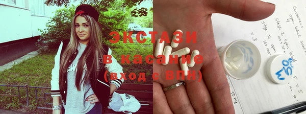 шишки Магас