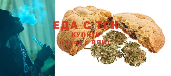 шишки Магас