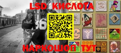 прущие крисы Донской