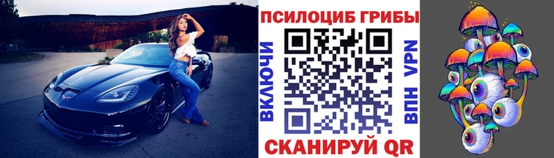 Галлюциногенные грибы Magic Shrooms  omg как войти  маркетплейс формула  Чебоксары 