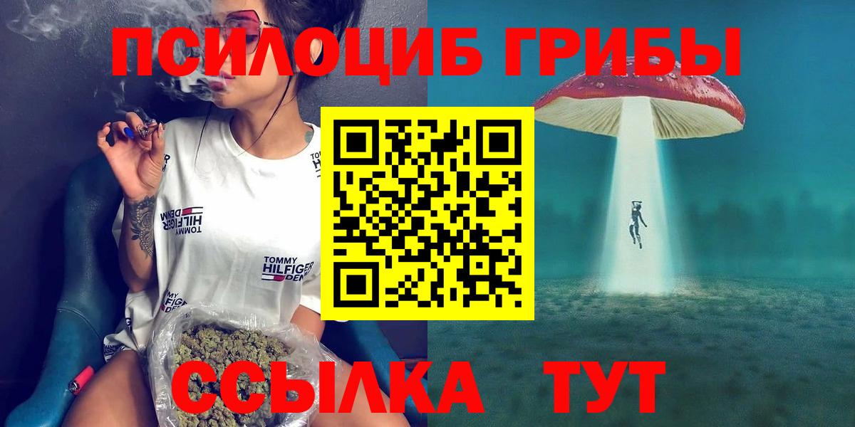 Галлюциногенные грибы прущие грибы  Чебоксары  Псилоцибиновые грибы мицелий 