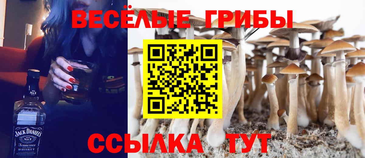 Галлюциногенные грибы мицелий  Вход с VPN  Чебоксары  Псилоцибиновые грибы Psilocybe 