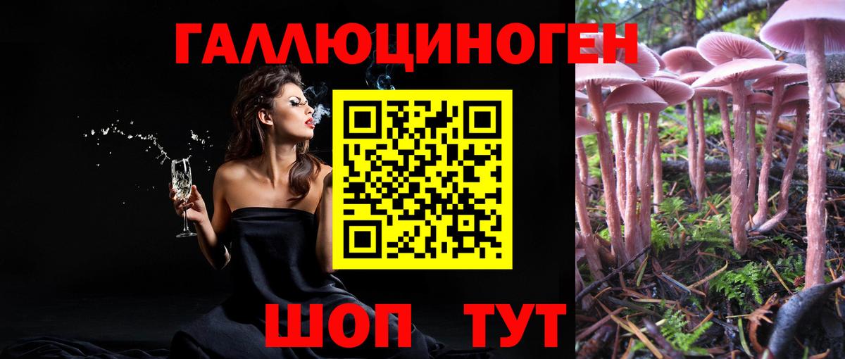 Псилоцибиновые грибы Magic Shrooms Чебоксары